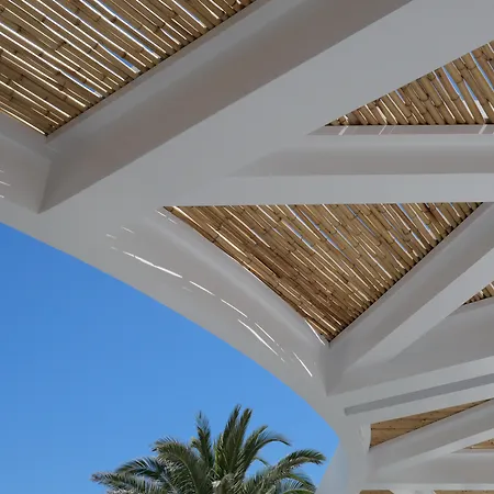 安德罗尼哥斯酒店 酒店 Mykonos Town