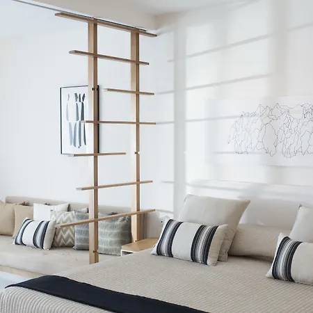 酒店 安德罗尼哥斯酒店 Mykonos Town