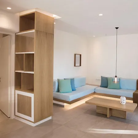 安德罗尼哥斯酒店 Mykonos Town